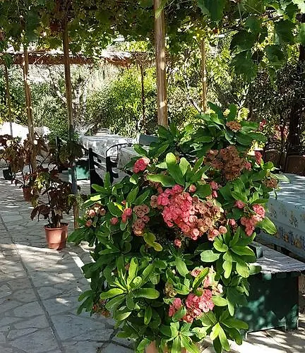 Appartamento Castello Bellos Keri