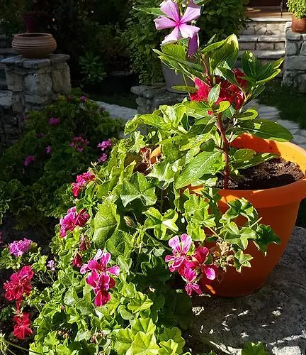 Appartamento Castello Bellos *