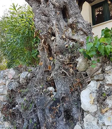 Castello Bellos * Keri