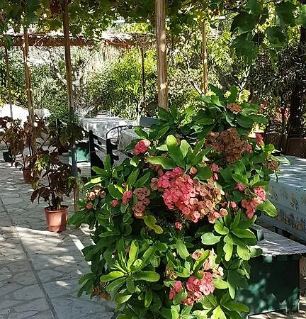 Appartamento Castello Bellos Keri