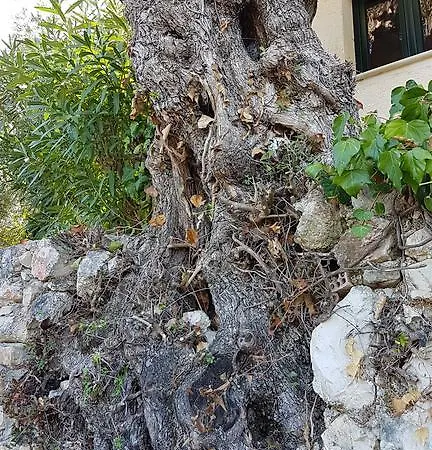 Castello Bellos * Керион